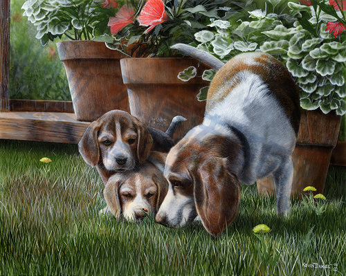 411828e3f647dcc09a72fa18da93b9a