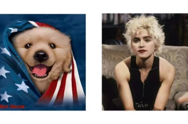 又有多少卖家会栽在版权画？这几十张热门图片发起TRO，国际巨星麦当娜商标维权