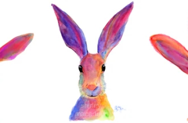 警惕！毛巾架【24-cv-01713】、歌手商标【24-cv-04876】、版权画【24-cv-2151】维权频发！卖家注意规避！