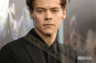 Harry Styles哈里·斯泰尔斯商标维权